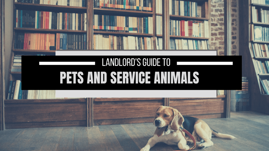 Landlord's Guide to Pets and Service Animals | Boston Property Management